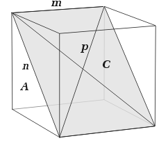 Rectangular facet of the cube